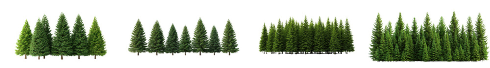 Fototapeta premium Lush green evergreen forest landscape with tall pine fir and spruce trees covering scenic mountainous terrain Beautiful natural woodland environment with fresh foliage and serene scenery
