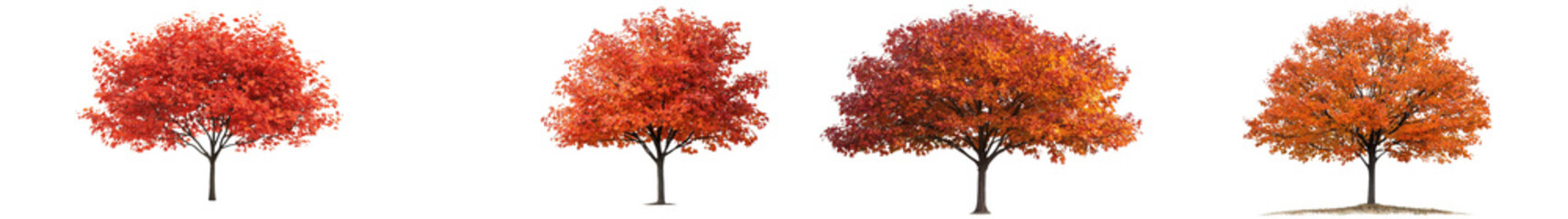 Vibrant Autumn Trees with Colorful Foliage in Scenic Landscape  Beautiful fall colors in a tranquil natural setting  Picturesque autumnal scenery with lush