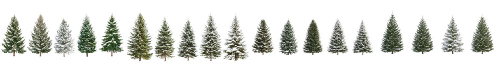 Majestic snowy forest landscape with tall towering evergreen trees covered in a blanket of pristine white snow creating a serene and magical winter wonderland setting  The coniferous trees