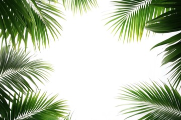 Naklejka premium Beautiful Elevated View of Green Palm Leaves Against a White Background Creating a Fresh Look 
