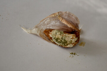 garlic clove with brown sores and mold. Selective focus. Damaged garlic, spoiled crops, unsuitable for eating and planting