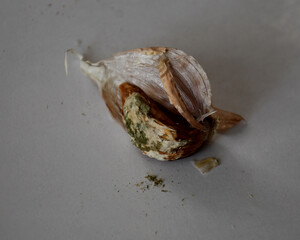 garlic clove with brown sores and mold. Selective focus. Damaged garlic, spoiled crops, unsuitable for eating and planting