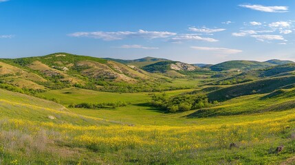 Obraz premium Beautiful spring landscape with green grass, yellow flowers, and a vibrant blue sky in the background, capturing the peaceful essence of a sunny meadow, perfect for a banner or wallpaper.
