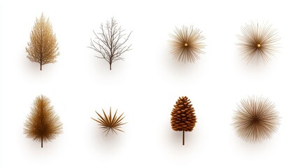 Obraz premium Unique Arrangement of Artistic Tree and Plant Illustrations on White Background