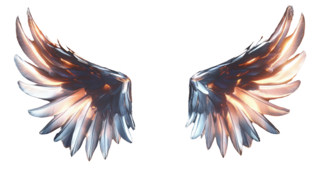 wings