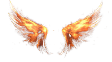 red and yellow feathers