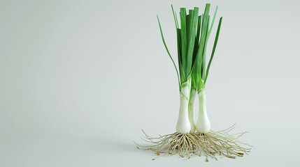 Fresh Green Onion on a Pure White Background