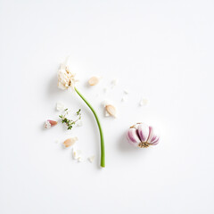 Pristine Garlic on a White Background