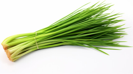 Fresh Green Onion on a Pure White Background