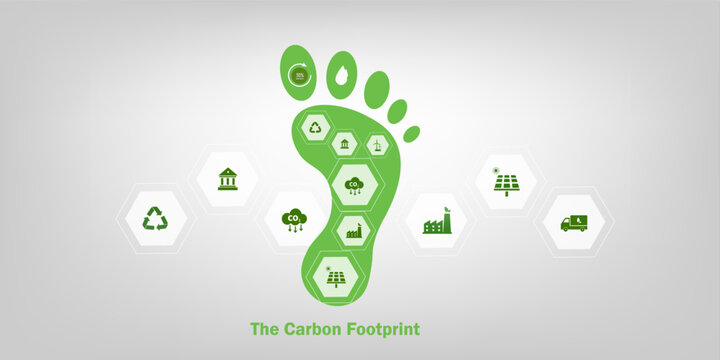 concept of Carbon footprint  with ecological icon, green house sustainable energy digram
