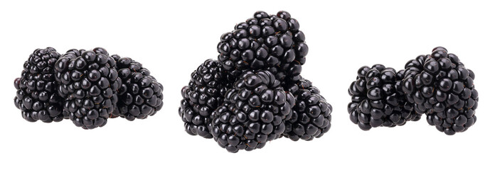 pile of blackberry isolated, transparent PNG, PNG format, collection, set