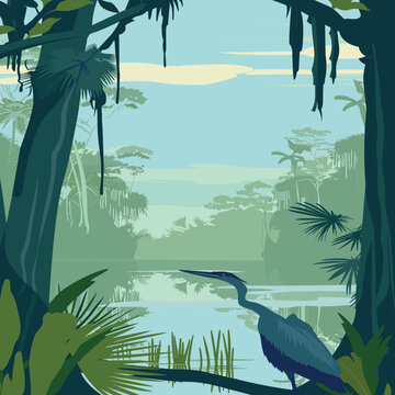 Everglades National Park heron vector. Flat design showing the iconic bird and swamp scenery. Ideal for travel and nature themes.
