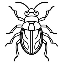Insect Line Art Vector