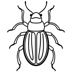 Insect Line Art Vector