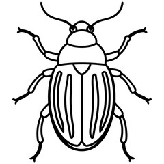 Insect Line Art Vector