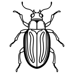 Insect Line Art Vector
