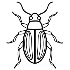 Insect Line Art Vector