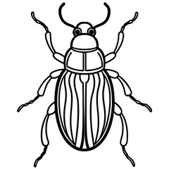 Insect Line Art Vector