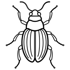 Insect Line Art Vector