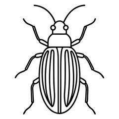 Insect Line Art Vector