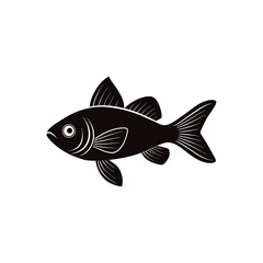 fish vector illustration