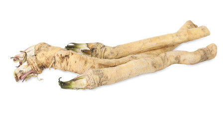 Three fresh horseradish roots isolated on white