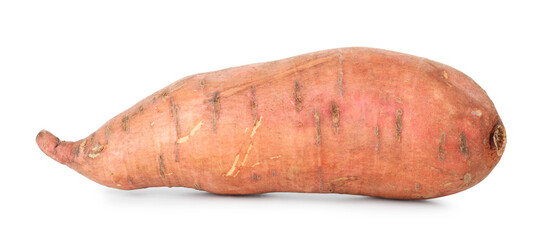 One fresh sweet potato isolated on white. Vegetable root