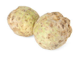 Two fresh celery roots isolated on white