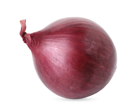 Fresh red onion isolated on white. Vegetable root