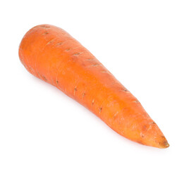 One fresh carrot isolated on white. Root vegetable