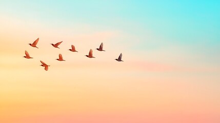 Obraz premium Serenity in Flight: A Flock of Birds Soaring Across a Peaceful Sky at Dusk