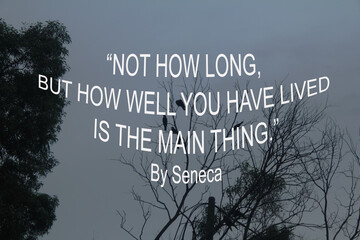 Motivational and inspirational quotes - Not how long but how well you have lived is the main thing...