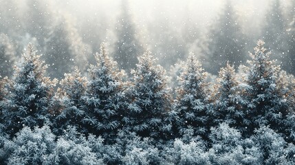 Winter Wonderland Landscape Serene Snowy Forest Scene Frozen Lake and Twinkling Stars