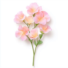 Obraz premium A delicate 3D botanical illustration of soft pink flowers,thin,curved green stems,lush leaves.elegant,minimalistic,perfect for wedding invitations,botanical prints,floral-themed artwork.