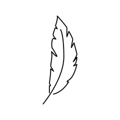 Feather for writing icon