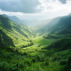 Obraz premium Wide angle view of a lush valley