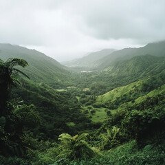 Fototapeta premium Wide angle view of a lush valley
