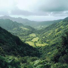 Obraz premium Wide angle view of a lush valley