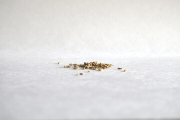 Carom Seeds (Ajwain) on white background