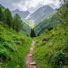 Obraz premium Serene Mountain Pathway Through Lush Green Valley Landscape