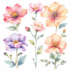 Abstract Flowers Clipart, Dried Flowers, Printable Watercolor clipart,