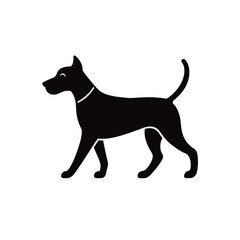 walking dog vector illustration