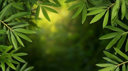 Lush Green Leaves Frame with Soft Focus Background Effect
