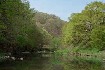 풍경