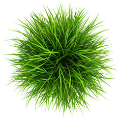 Vibrant green grass png with transparency background nature scene white