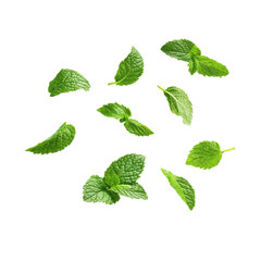  flying fresh mint leaves isolated on transparent white background, clipping path.