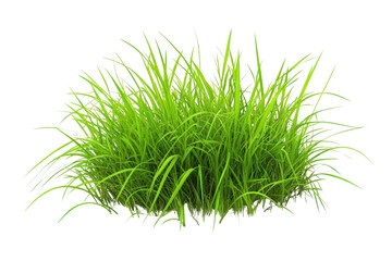 Transparent Grass Blades for Design, 3D Modeling, and Visual Effects