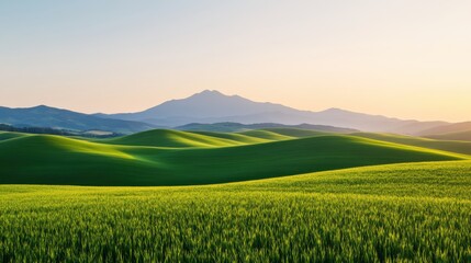 Fototapeta premium Misty sunrise over mountains serene rolling hills nature scene