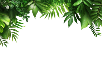 Green Leaves and Transparency: Creating a Transparent Background with  Green Foliage