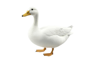 Fototapeta premium The White Goose, Standing Tall and Proud, a Transparent Object Illustration